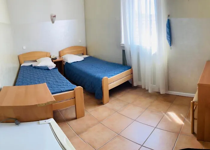 Lovely Garden Compact Near Center Ideal For Weekend Apartment Novi Sad